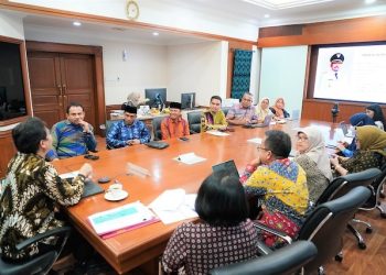 Bupati H. Kader Jaelani Audiensi dengan Menkes RI