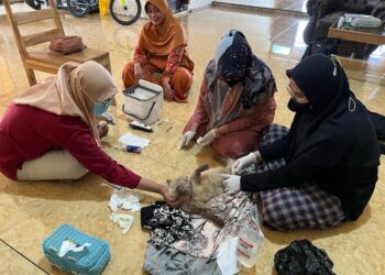 Tim dokter hewan masing Drh Sri Juhryyah, Drh Rayyan dan Drh Loly saat memberikan pelayanan kesehatan pada hewan kesayangan (Kucing jenis Anggora) atas nama Tofo di Kelurahan Karijawa.