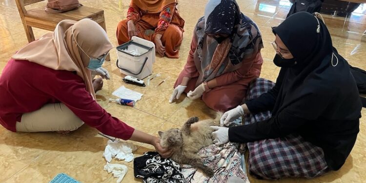 Tim dokter hewan masing Drh Sri Juhryyah, Drh Rayyan dan Drh Loly saat memberikan pelayanan kesehatan pada hewan kesayangan (Kucing jenis Anggora) atas nama Tofo di Kelurahan Karijawa.