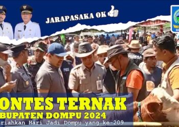 Sapi 4 Ekor Hadiah Utama Kontes Ternak di Dompu