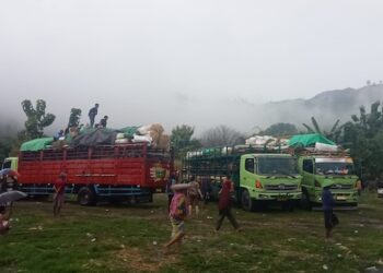 Penuhi Kebutuhan Idul Kurban, Dompu Kirim Sapi ke Jakarta