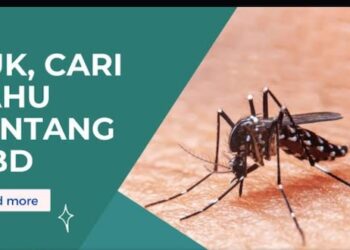 Mengenal dan Waspadai Serangan DBD