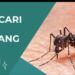 Mengenal dan Waspadai Serangan DBD