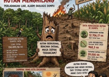 Dompu di Ujung Deforestasi, Harga Mahal dari Perambahan Hutan Untuk Penanaman Jagung