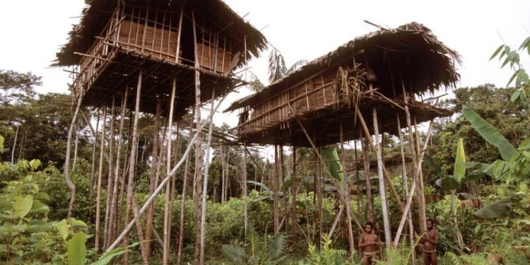 Rumah Pohon, Menelusuri Kehidupan Suku Korowai di Pedalaman Papua