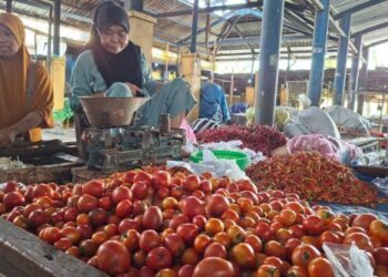 Harga Cabai dan Ayam Naik di Pasar Bawah Dompu, Tomat Melonjak 50 Persen